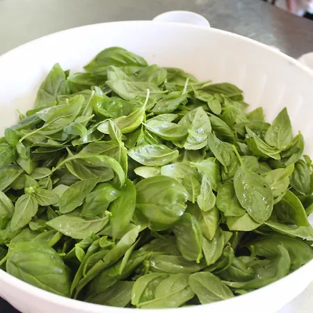 ホテル La Filadelfia リーパリ