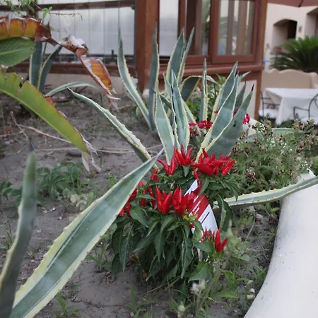 La Filadelfia ホテル